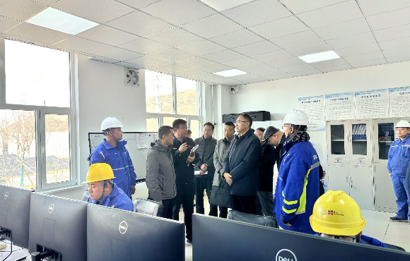 青海省生態(tài)環(huán)境廳黨組書記、廳長湯宛峰調(diào)研麥王項目