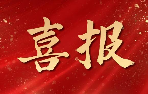 TOP 12！中節(jié)能國禎榮登中國品牌價值 “其他服務(wù)類”